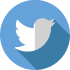 Twitter Logo